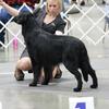 Koby and Jessica in the Group Ring-Albany, Oregon